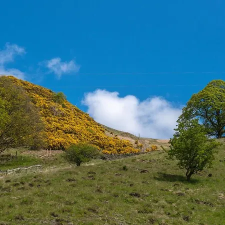 Todd Fell Barn And *